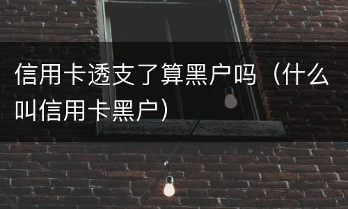 信用卡透支了算黑户吗（什么叫信用卡黑户）
