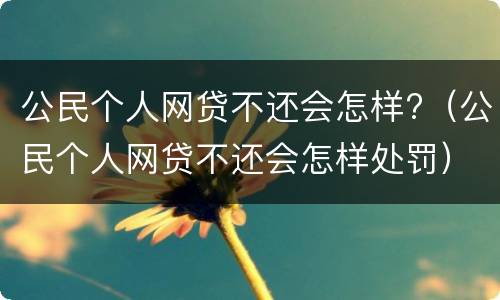 公民个人网贷不还会怎样?（公民个人网贷不还会怎样处罚）