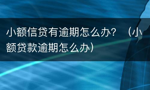 小额信贷有逾期怎么办？（小额贷款逾期怎么办）