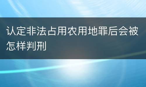 认定非法占用农用地罪后会被怎样判刑