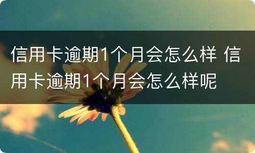 信用卡逾期1个月会怎么样 信用卡逾期1个月会怎么样呢