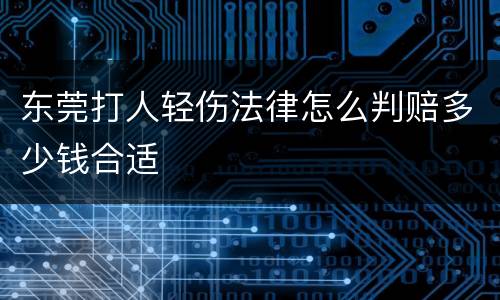 东莞打人轻伤法律怎么判赔多少钱合适