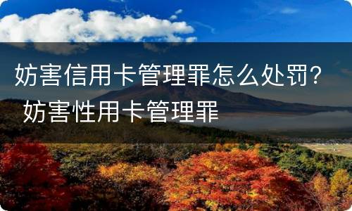 妨害信用卡管理罪怎么处罚？ 妨害性用卡管理罪