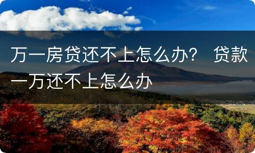 万一房贷还不上怎么办？ 贷款一万还不上怎么办