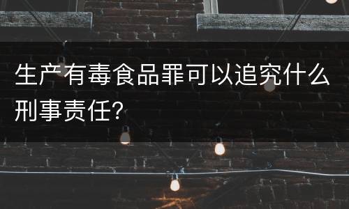 生产有毒食品罪可以追究什么刑事责任？