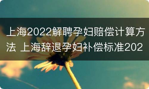 上海2022解聘孕妇赔偿计算方法 上海辞退孕妇补偿标准2021