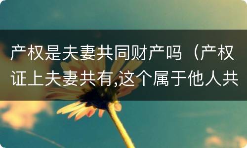 产权是夫妻共同财产吗（产权证上夫妻共有,这个属于他人共有吗）