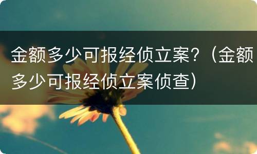 金额多少可报经侦立案?（金额多少可报经侦立案侦查）