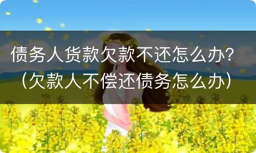 债务人货款欠款不还怎么办？（欠款人不偿还债务怎么办）