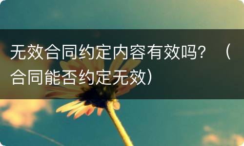 无效合同约定内容有效吗？（合同能否约定无效）