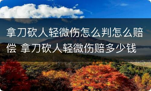 拿刀砍人轻微伤怎么判怎么赔偿 拿刀砍人轻微伤赔多少钱