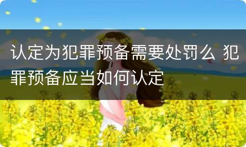 认定为犯罪预备需要处罚么 犯罪预备应当如何认定