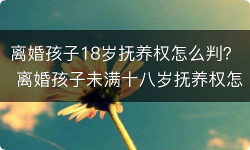 离婚孩子18岁抚养权怎么判？ 离婚孩子未满十八岁抚养权怎么算