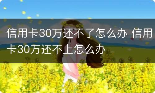 信用卡30万还不了怎么办 信用卡30万还不上怎么办
