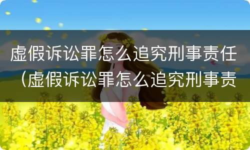 虚假诉讼罪怎么追究刑事责任（虚假诉讼罪怎么追究刑事责任的）