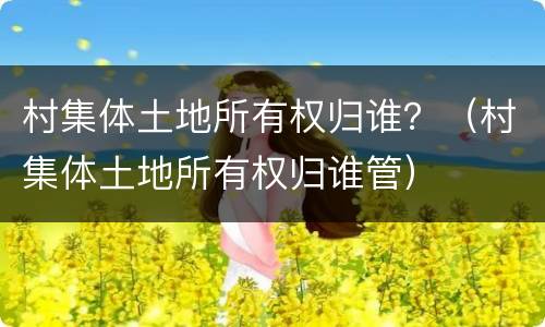 村集体土地所有权归谁？（村集体土地所有权归谁管）