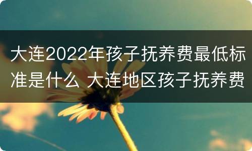 大连2022年孩子抚养费最低标准是什么 大连地区孩子抚养费标准