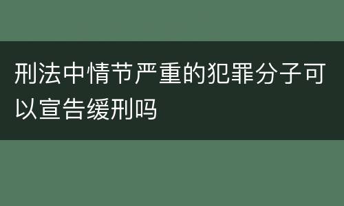 刑法中情节严重的犯罪分子可以宣告缓刑吗