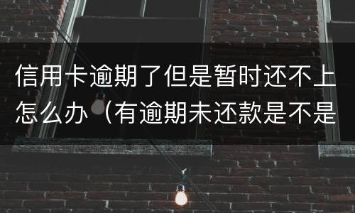 信用卡逾期了但是暂时还不上怎么办（有逾期未还款是不是信用卡办不了）