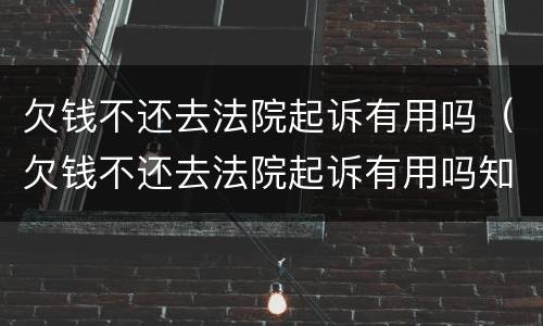 欠钱不还去法院起诉有用吗（欠钱不还去法院起诉有用吗知乎）