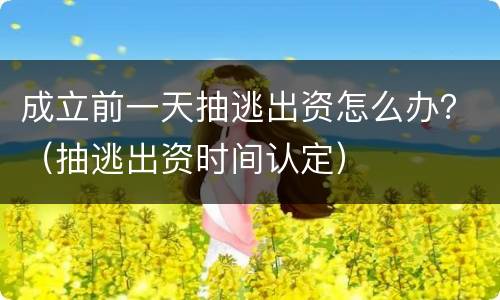 成立前一天抽逃出资怎么办？（抽逃出资时间认定）