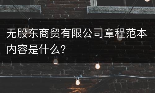无股东商贸有限公司章程范本内容是什么？