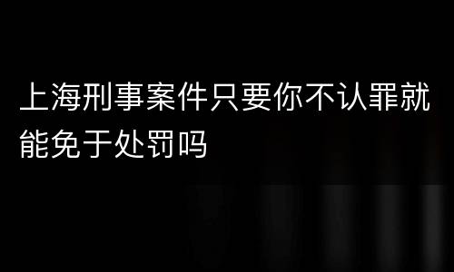 上海刑事案件只要你不认罪就能免于处罚吗