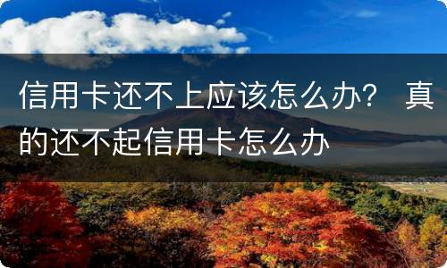 信用卡还不上应该怎么办？ 真的还不起信用卡怎么办