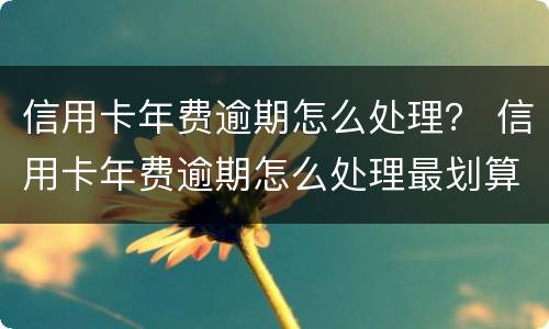 信用卡年费逾期怎么处理？ 信用卡年费逾期怎么处理最划算