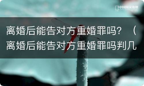 离婚后能告对方重婚罪吗？（离婚后能告对方重婚罪吗判几年）