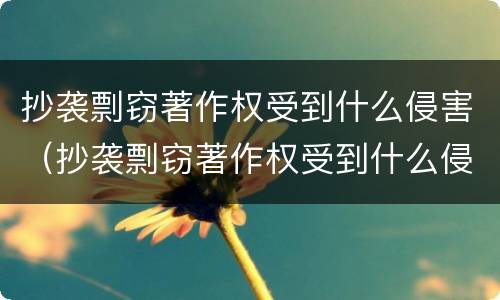 抄袭剽窃著作权受到什么侵害（抄袭剽窃著作权受到什么侵害呢）
