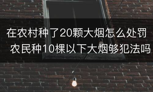 在农村种了20颗大烟怎么处罚 农民种10棵以下大烟够犯法吗