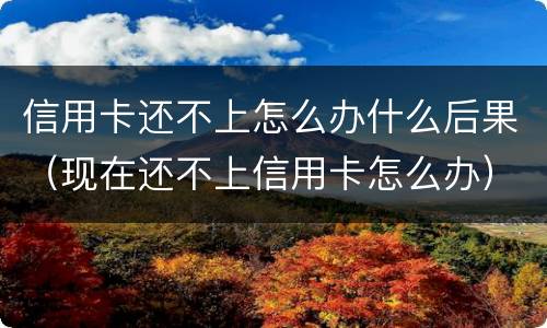 信用卡还不上怎么办什么后果（现在还不上信用卡怎么办）