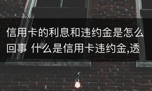 信用卡的利息和违约金是怎么回事 什么是信用卡违约金,透支利息