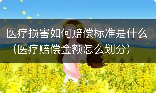 医疗损害如何赔偿标准是什么（医疗赔偿金额怎么划分）