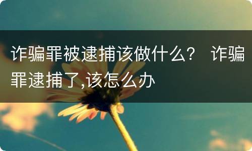 诈骗罪被逮捕该做什么？ 诈骗罪逮捕了,该怎么办
