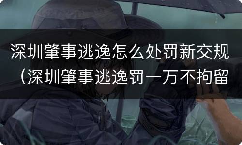 深圳肇事逃逸怎么处罚新交规（深圳肇事逃逸罚一万不拘留）