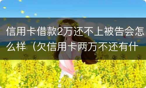 信用卡借款2万还不上被告会怎么样（欠信用卡两万不还有什么后果）