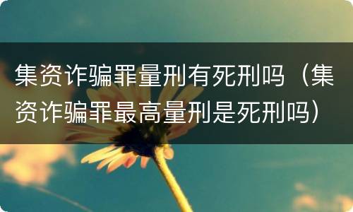 集资诈骗罪量刑有死刑吗（集资诈骗罪最高量刑是死刑吗）