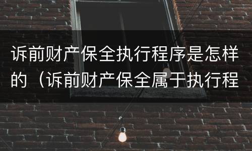 诉前财产保全执行程序是怎样的（诉前财产保全属于执行程序吗）