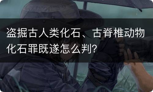 盗掘古人类化石、古脊椎动物化石罪既遂怎么判？