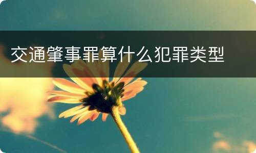 交通肇事罪算什么犯罪类型