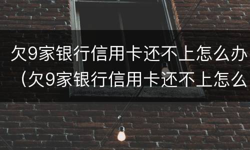 欠9家银行信用卡还不上怎么办（欠9家银行信用卡还不上怎么办呢）