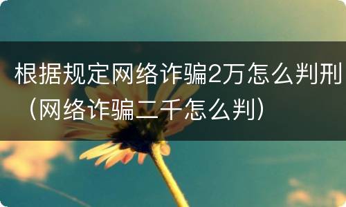 根据规定网络诈骗2万怎么判刑（网络诈骗二千怎么判）