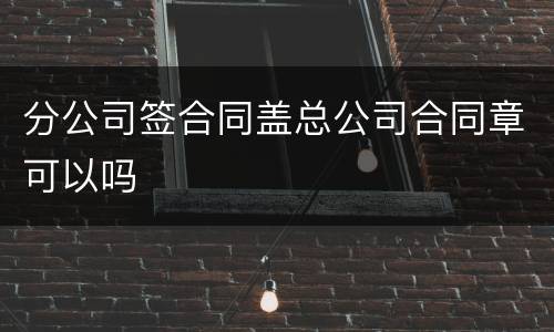 分公司签合同盖总公司合同章可以吗