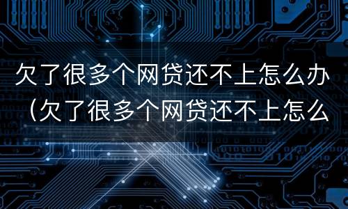欠了很多个网贷还不上怎么办（欠了很多个网贷还不上怎么办呀）