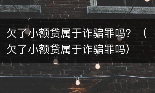 欠了小额贷属于诈骗罪吗？（欠了小额贷属于诈骗罪吗）