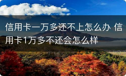 信用卡一万多还不上怎么办 信用卡1万多不还会怎么样