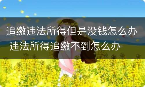 追缴违法所得但是没钱怎么办 违法所得追缴不到怎么办