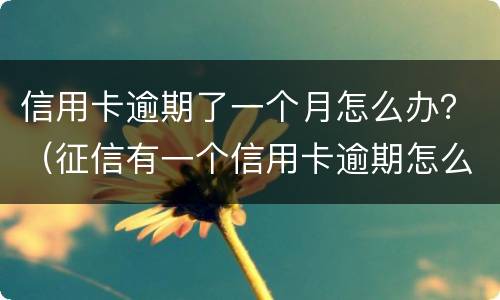 信用卡逾期了一个月怎么办？（征信有一个信用卡逾期怎么办）
